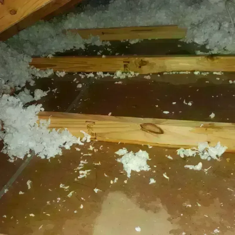 Attic Water Damage in Dupree, SD