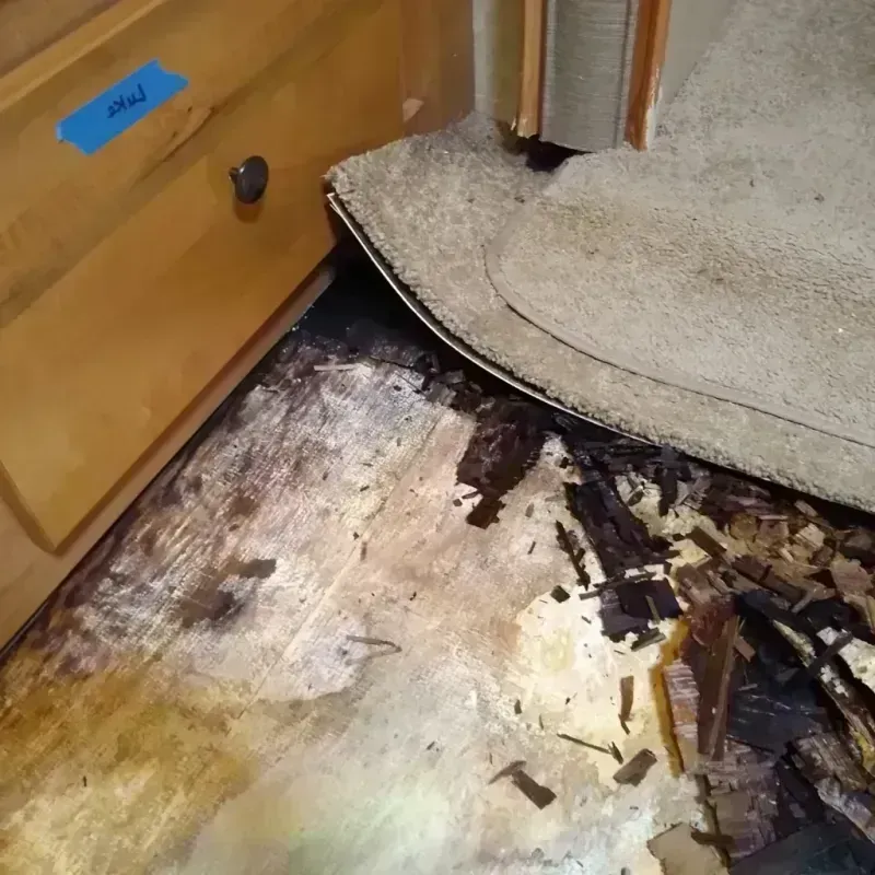 Wood Floor Water Damage in Dupree, SD